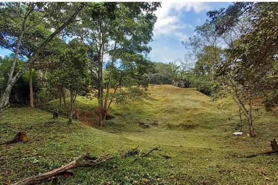 Foto Terreno en Venta en Puriscal, San José - ¢ 90.000.000 - TEV101624 - BienesOnLine