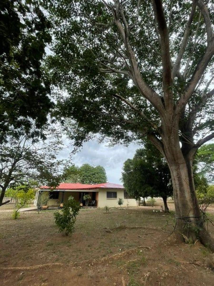 Foto Casa en Venta en Santa Cruz, Guanacaste - U$D 370.000 - CAV98943 - BienesOnLine