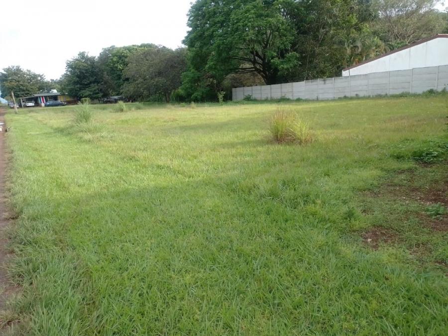 Foto Terreno en Venta en San Mateo, San Mateo Alajuela, Alajuela - ¢ 25.000.000 - TEV64897 - BienesOnLine