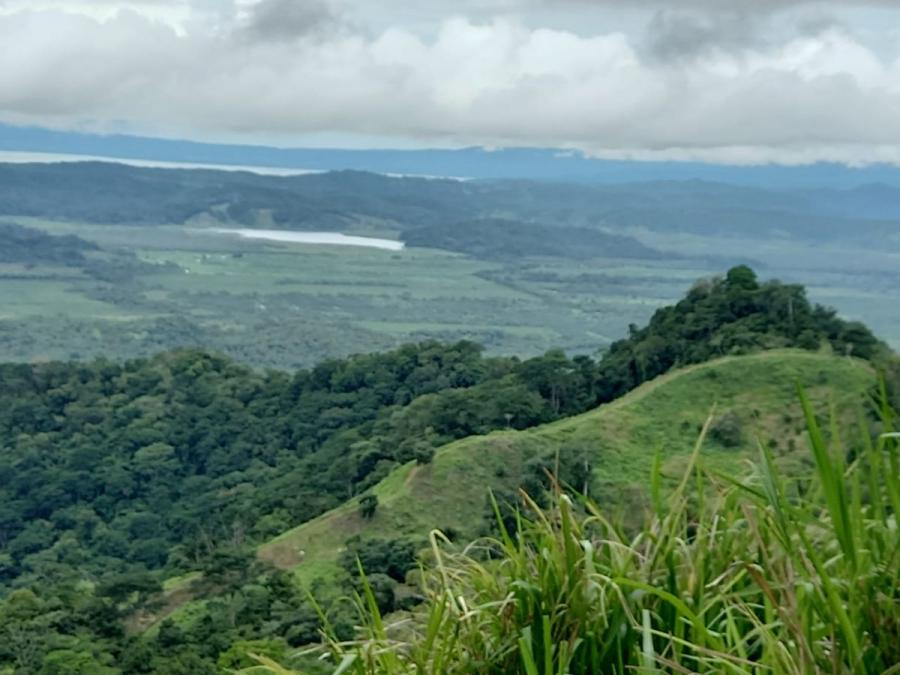 Foto Terreno en Venta en Sinaí de Osa, La fila, Puntarenas - 93 hectareas - ¢ 370.000.000 - TEV105391 - BienesOnLine