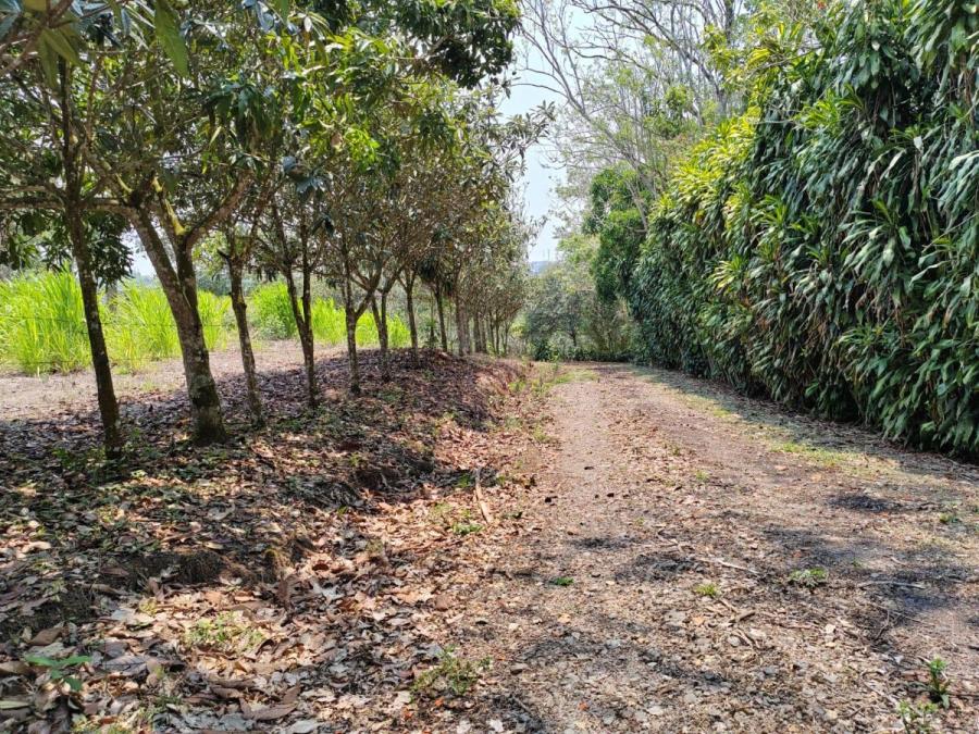 Venta de Finca en San Ramón, Alajuela. RAH 24-1653