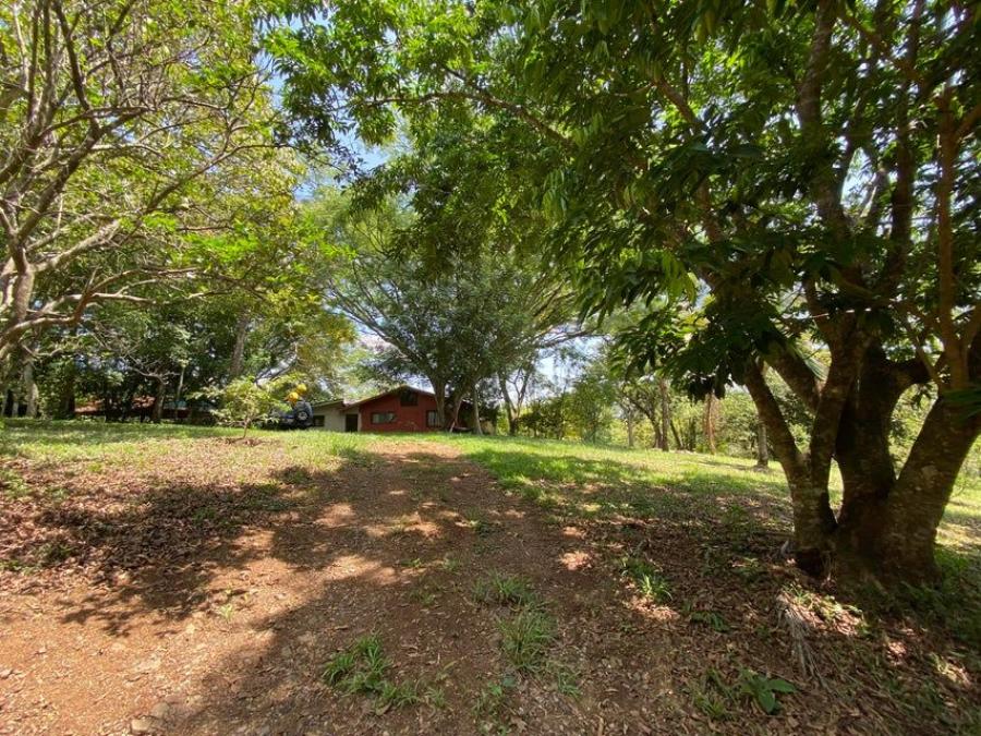 Foto Finca en Venta en Mora, San Jos - U$D 205.000 - FIV102080 - BienesOnLine