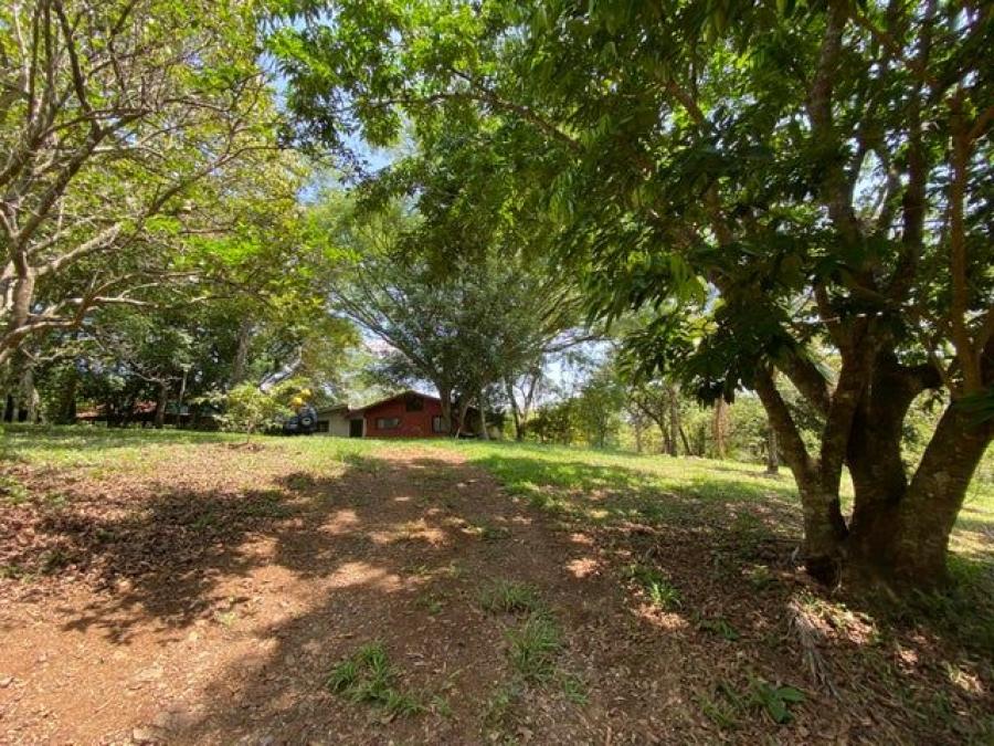 Venta de Finca tipo Quinta con Casa en Mora, San José. RAH 24-1607