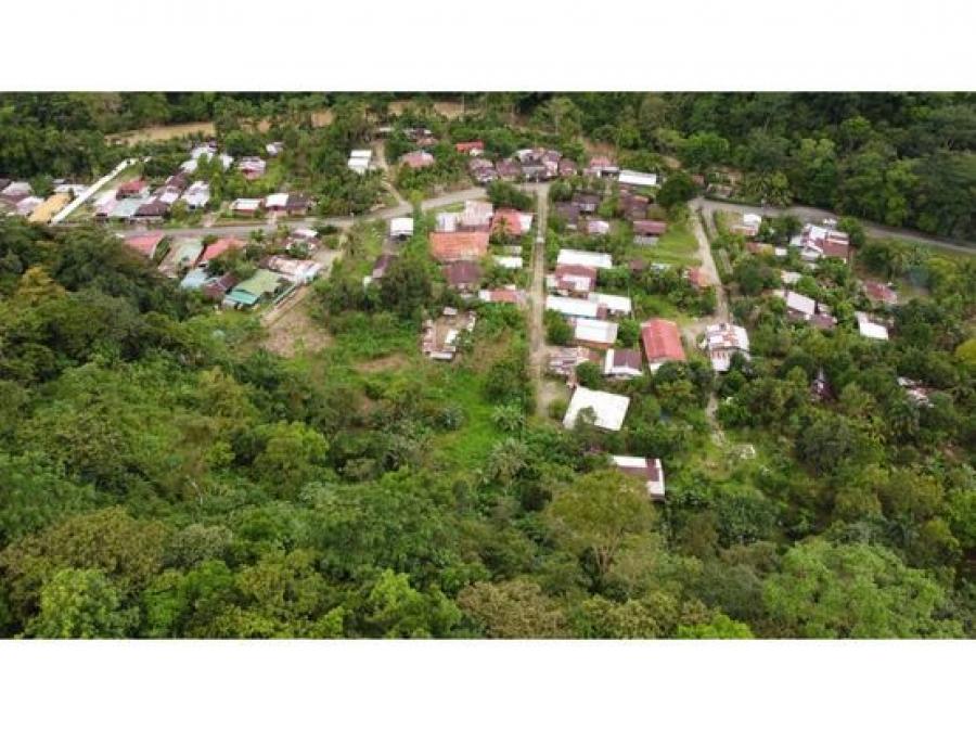 Foto Finca en Venta en Corredores, Puntarenas - U$D 150.000 - FIV97592 - BienesOnLine