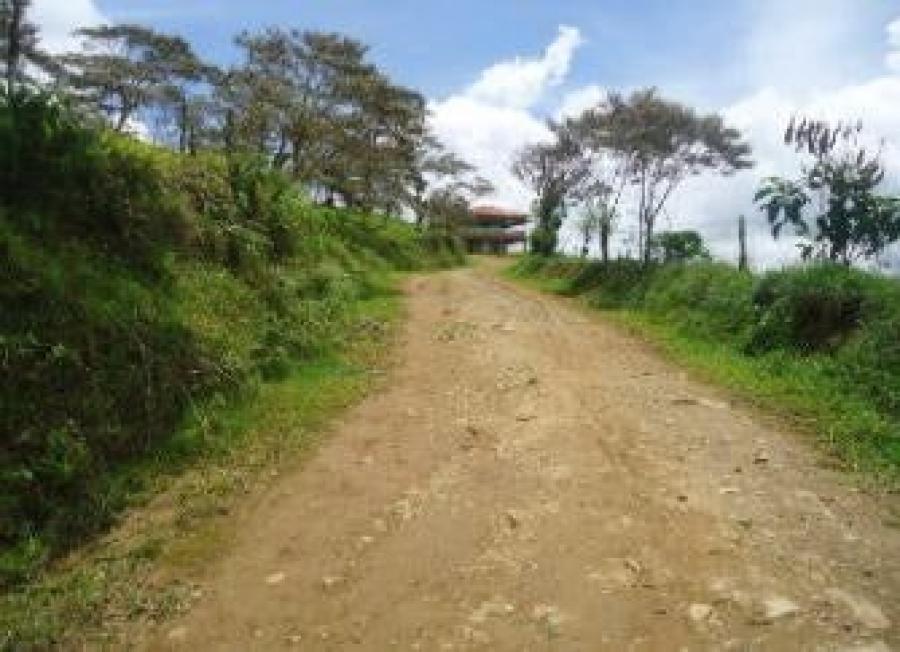 Venta de Increíble Finca en Turrialba / Mls. 24-1910 OFC