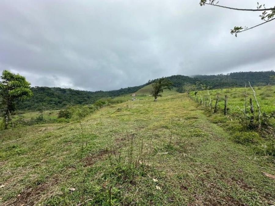 Foto Terreno en Venta en Quesada, Alajuela - ¢ 41.000.000 - TEV99130 - BienesOnLine