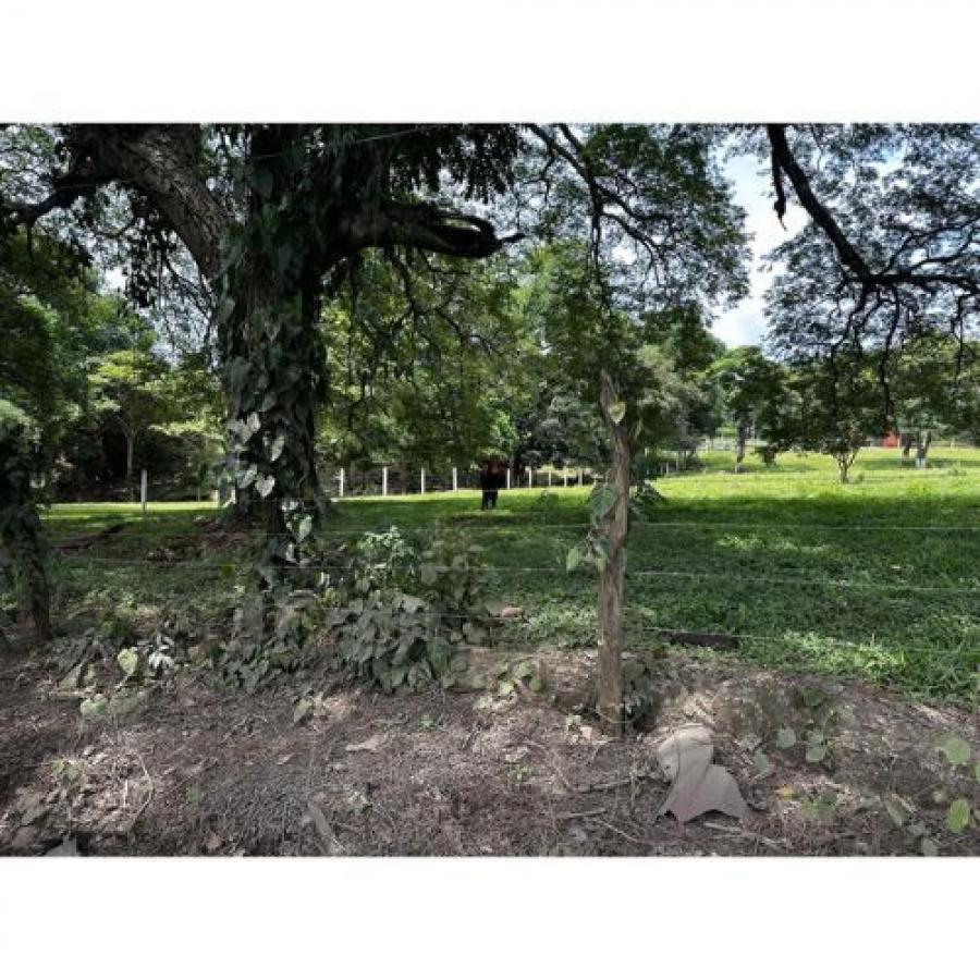 Foto Terreno en Venta en TURRUCARES, Alajuela, Alajuela - U$D 325.000 - TEV103499 - BienesOnLine