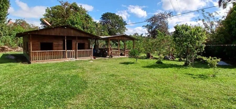 Foto Terreno en Venta en Turrialba, Cartago - ¢ 37.500.000 - TEV102827 - BienesOnLine