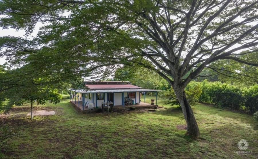 Foto Terreno en Venta en Garabito, Puntarenas - ¢ 65.000.000 - TEV106836 - BienesOnLine