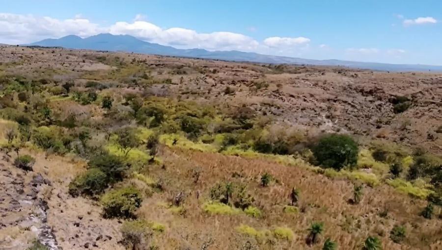 Venta de lote de 220 Hectáreas en Bagaces Guanacaste MGA