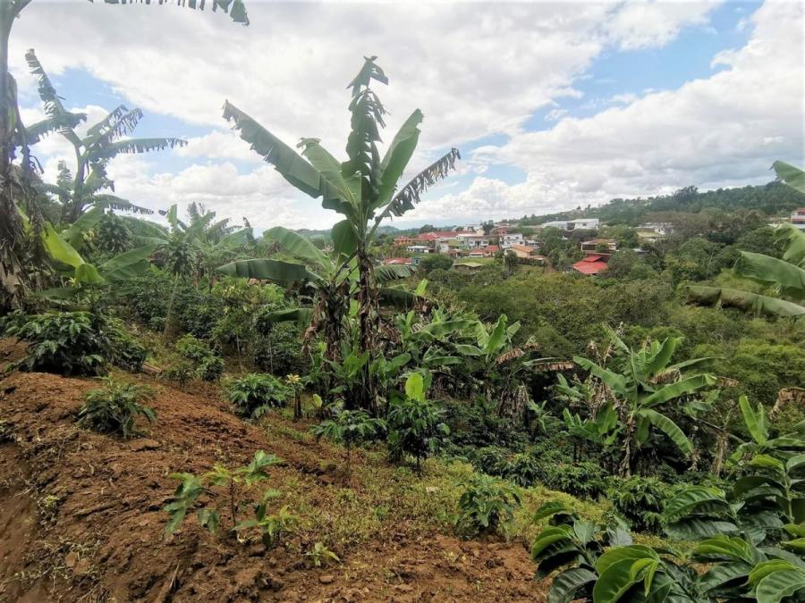 Foto Terreno en Venta en Calle las lajas, Santa Bárbara, Heredia - ¢ 110.000.000 - TEV100487 - BienesOnLine