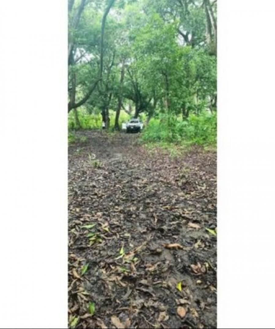 Foto Terreno en Venta en Santa Cruz, Guanacaste - ¢ 175.000.000 - TEV106767 - BienesOnLine