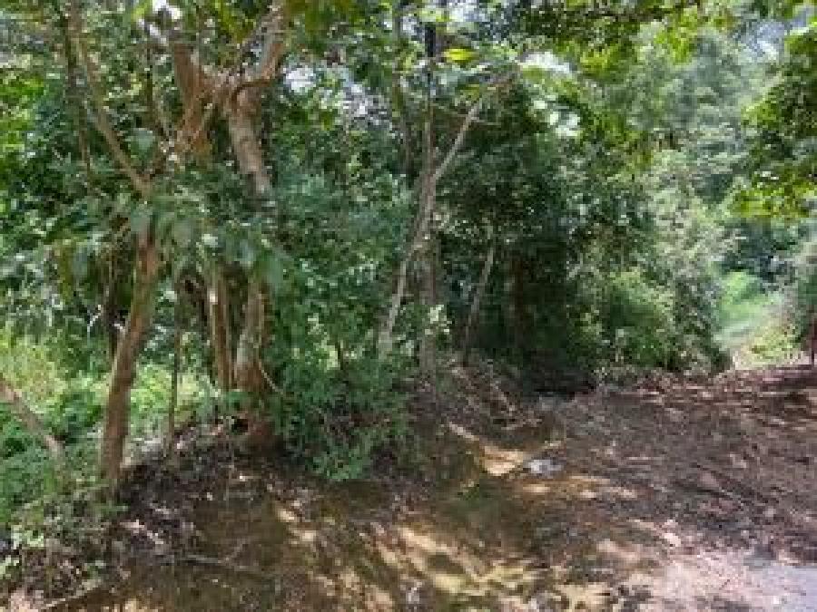 Foto Terreno en Venta en Atenas, Alajuela - U$D 68.000 - TEV112612 - BienesOnLine