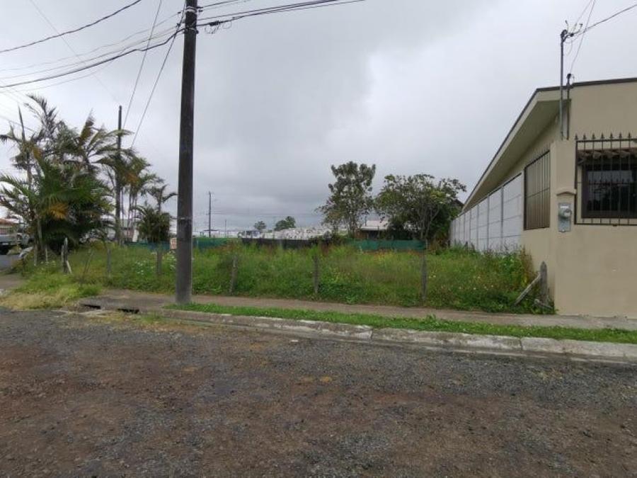 Foto Terreno en Venta en Alvarado, Cartago - U$D 24.000 - TEV98205 - BienesOnLine