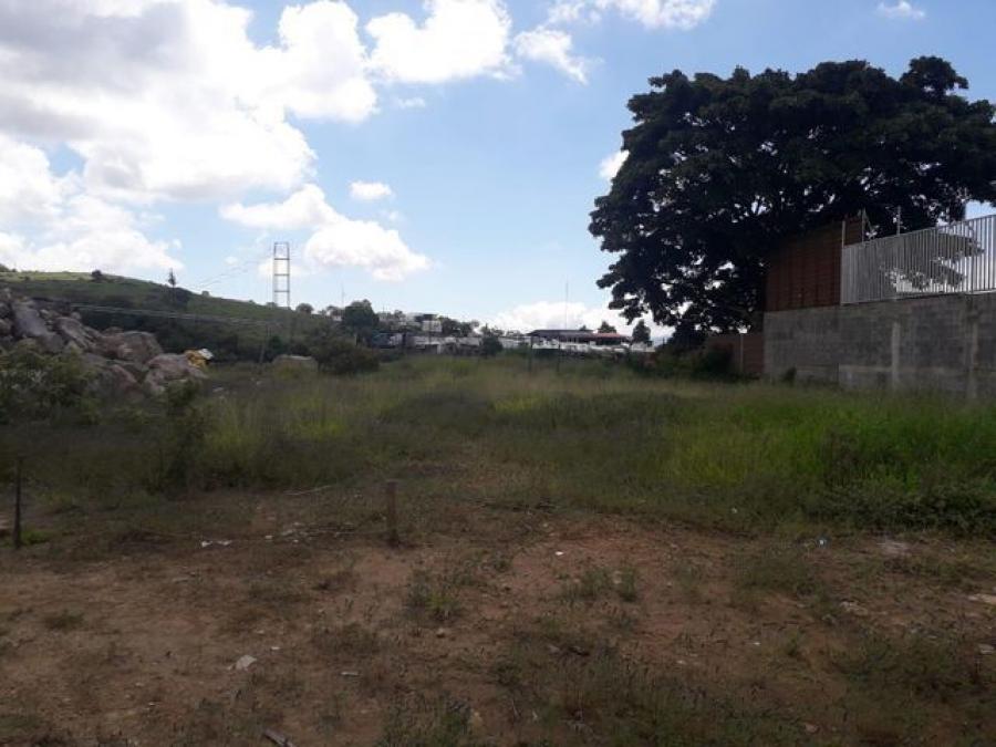 Venta de Lote en Cartago.