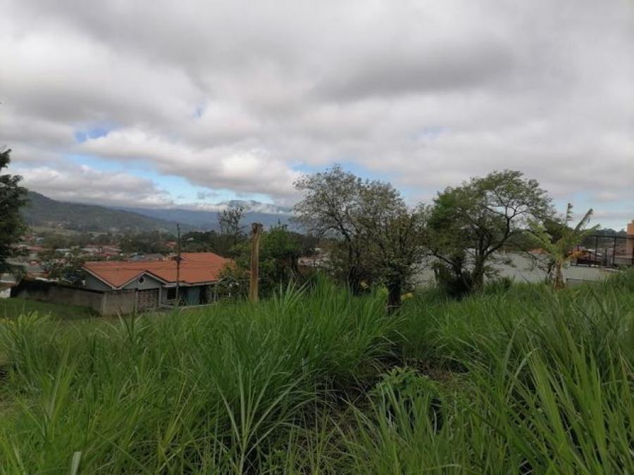 Venta de Lote en Cartago, La Unión