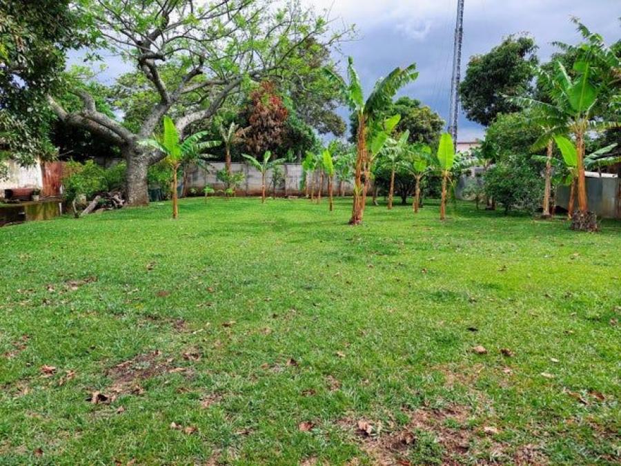 Foto Terreno en Venta en Desamparados, Alajuela - ¢ 75.000.000 - TEV104782 - BienesOnLine