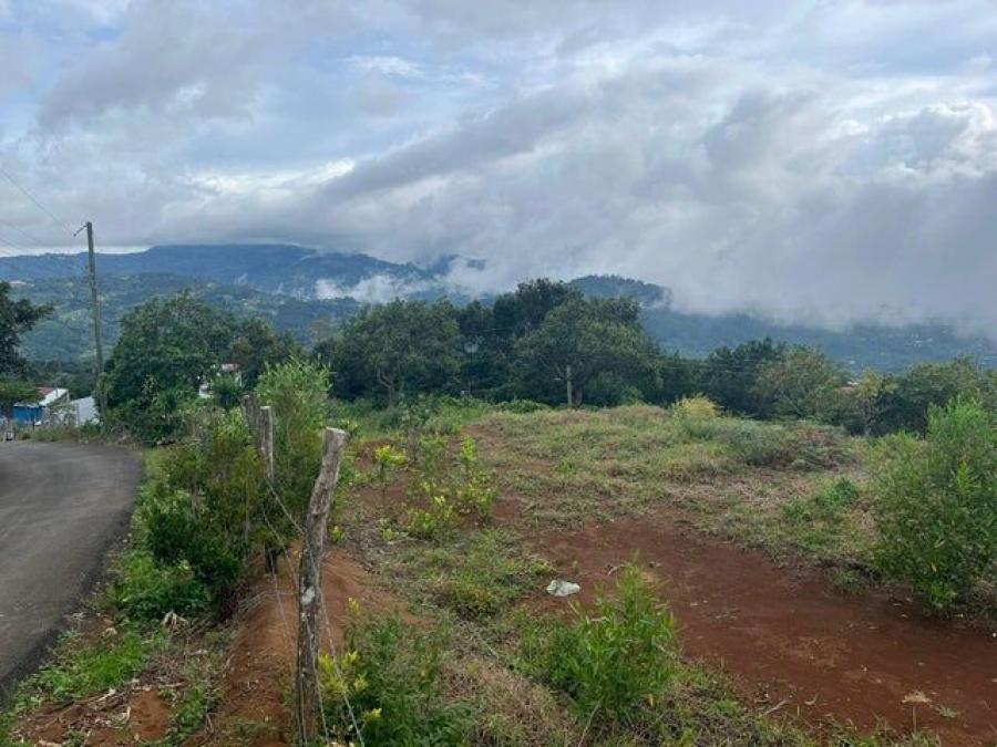 Foto Terreno en Venta en El Guarco, Cartago - ¢ 15.000.000 - TEV105651 - BienesOnLine