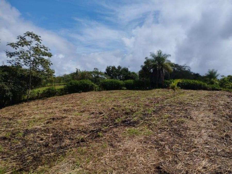 Venta de Lote en Esparza, Puntarenas. RAH 24-1537 PRECIO REBAJADO