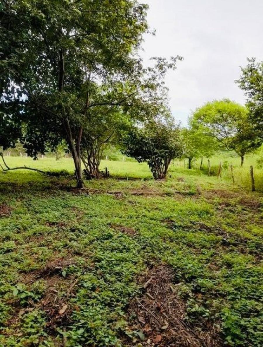 Foto Terreno en Venta en La Cruz, Guanacaste - U$D 70.000 - TEV105383 - BienesOnLine