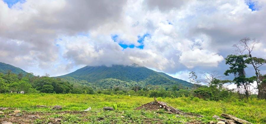 Foto Terreno en Venta en Fortuna, Alajuela - ¢ 47.000.000 - TEV101593 - BienesOnLine