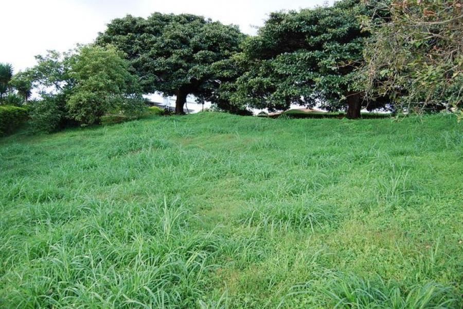 Venta de Lote en La Unión, Cartago.