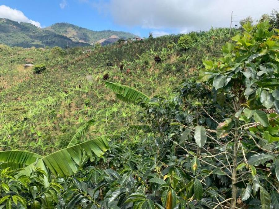 Venta de Lote en León Cortes, San José.