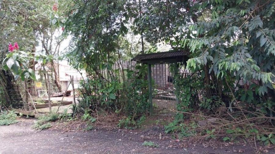 Venta de Lote en Mora, San José.