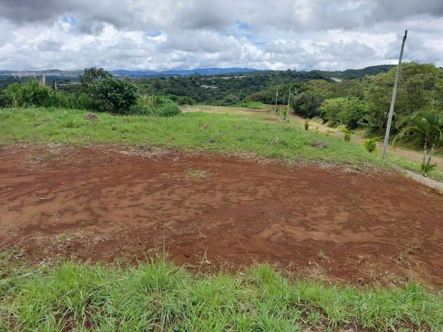 Foto Terreno en Venta en Naranjo, Alajuela - ¢ 10.500.000 - TEV107001 - BienesOnLine