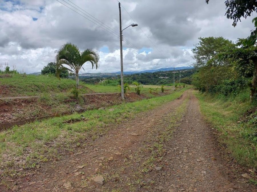 Foto Terreno en Venta en Naranjo, Alajuela - ¢ 12.100.000 - TEV107667 - BienesOnLine