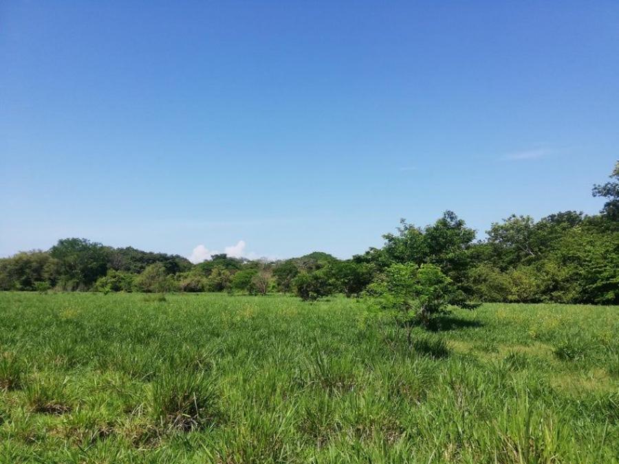 Foto Terreno en Venta en Nicoya, Guanacaste - U$D 7.307.900 - TEV105739 - BienesOnLine