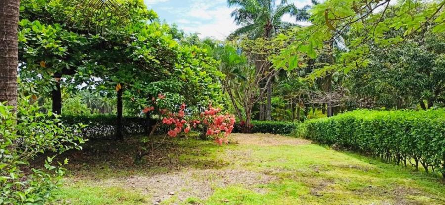 Foto Terreno en Venta en Parrita, Puntarenas - U$D 45.000 - TEV108951 - BienesOnLine