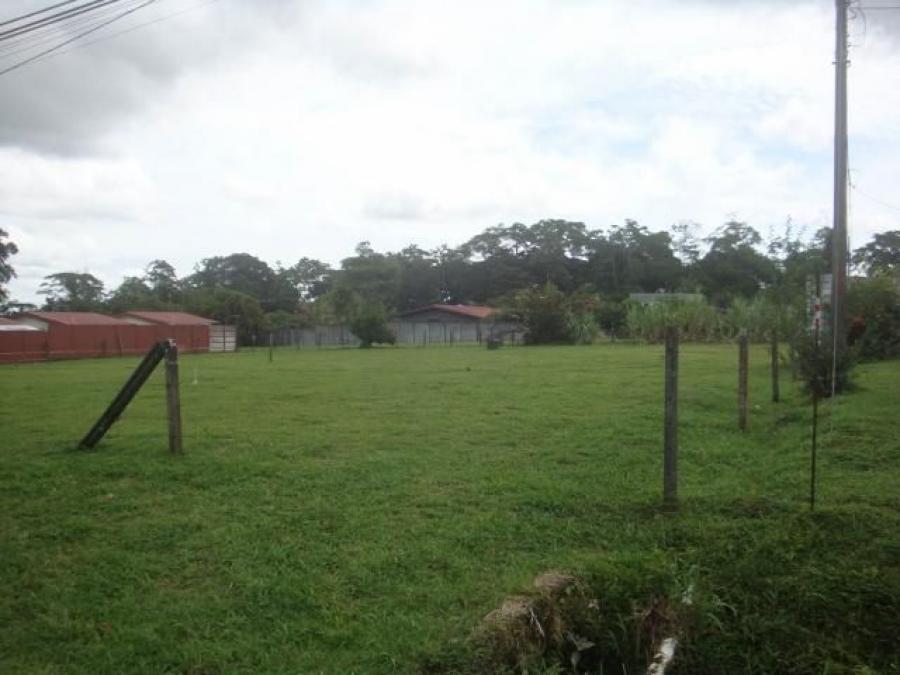 Foto Terreno en Venta en Pococ, Limn - ¢ 37.000.000 - TEV54504 - BienesOnLine