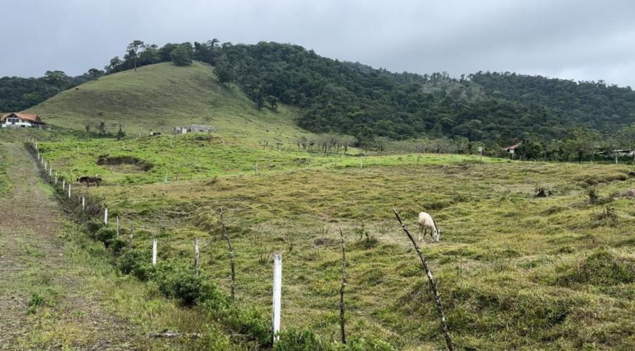 Foto Terreno en Venta en San Carlos, Alajuela - ¢ 35.000.000 - TEV105212 - BienesOnLine