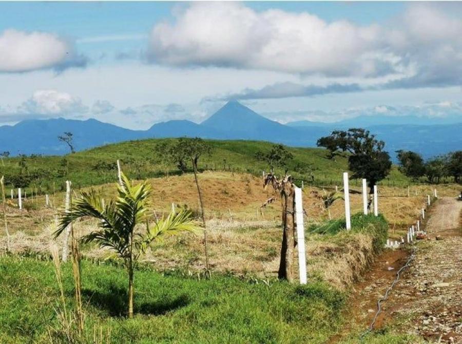 Foto Terreno en Venta en San Carlos, Alajuela - ¢ 33.000.000 - TEV105211 - BienesOnLine