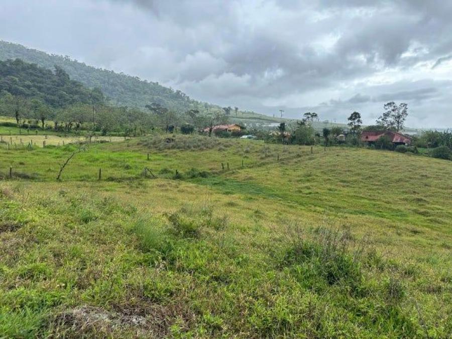 Foto Terreno en Venta en San Carlos, Alajuela - ¢ 37.000.000 - TEV105213 - BienesOnLine