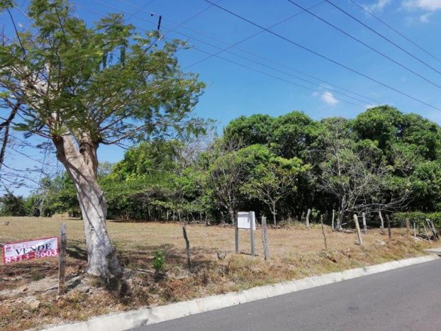 Foto Terreno en Venta en San Mateo, Alajuela - U$D 275.000 - TEV105740 - BienesOnLine