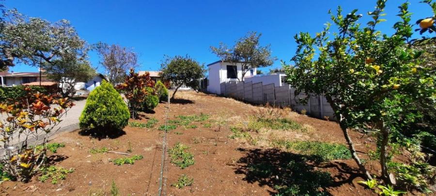 Foto Terreno en Venta en San Rafael, Heredia - ¢ 50.000.000 - TEV108039 - BienesOnLine