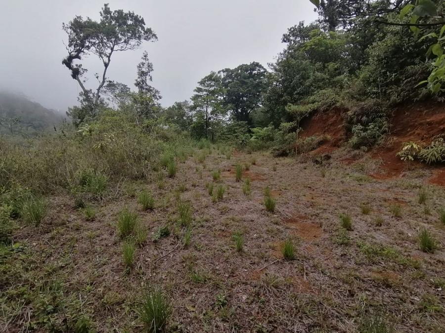 Foto Terreno en Venta en San Ramón, Alajuela - ¢ 54.000.000 - TEV79420 - BienesOnLine