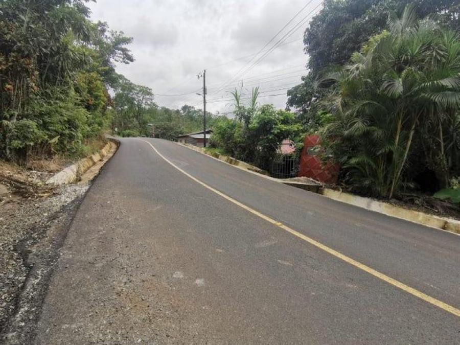 Foto Terreno en Venta en San Ramn, Alajuela - ¢ 32.300.000 - TEV103505 - BienesOnLine