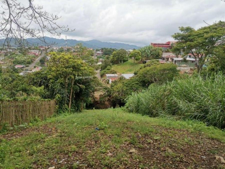 Foto Terreno en Venta en San Ramn, Alajuela - U$D 1.500.000 - TEV103558 - BienesOnLine