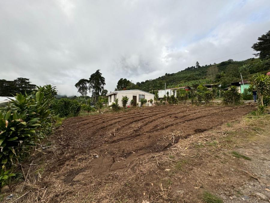 Foto Terreno en Venta en Santa Maria, Dota, San José - ¢ 18.000.000 - TEV107042 - BienesOnLine