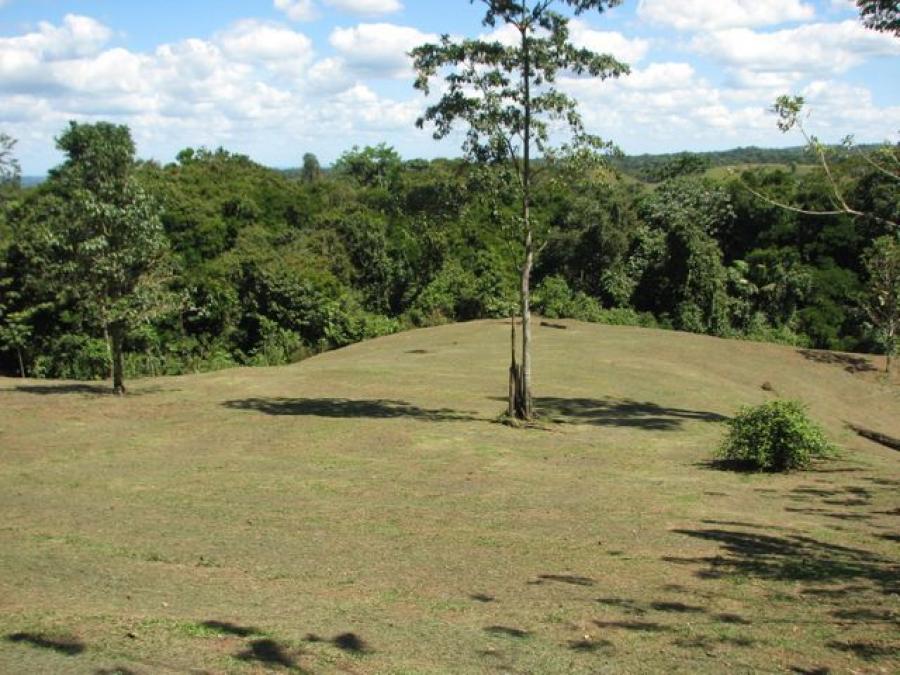 Foto Terreno en Venta en Sarapiquí, Alajuela - ¢ 55.000.000 - TEV54887 - BienesOnLine