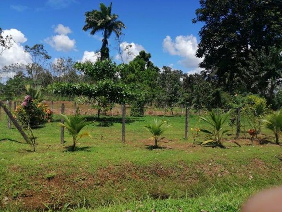 Foto Terreno en Venta en Sarapiquí, Heredia - ¢ 11.500.000 - TEV103504 - BienesOnLine