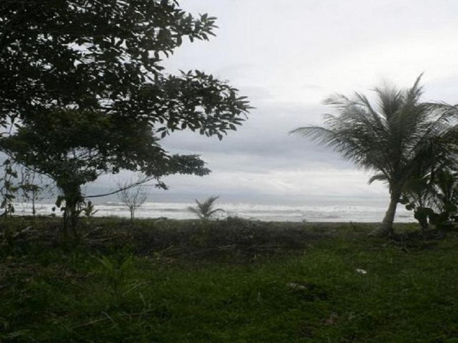 Venta de Lote en Tortuguero, Limón.