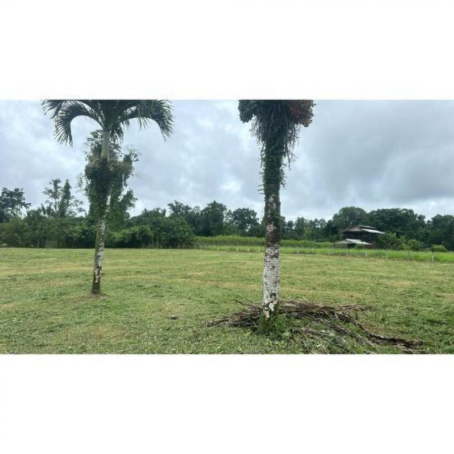 Foto Terreno en Venta en Pococí, Limón - U$D 139.900 - TEV105293 - BienesOnLine