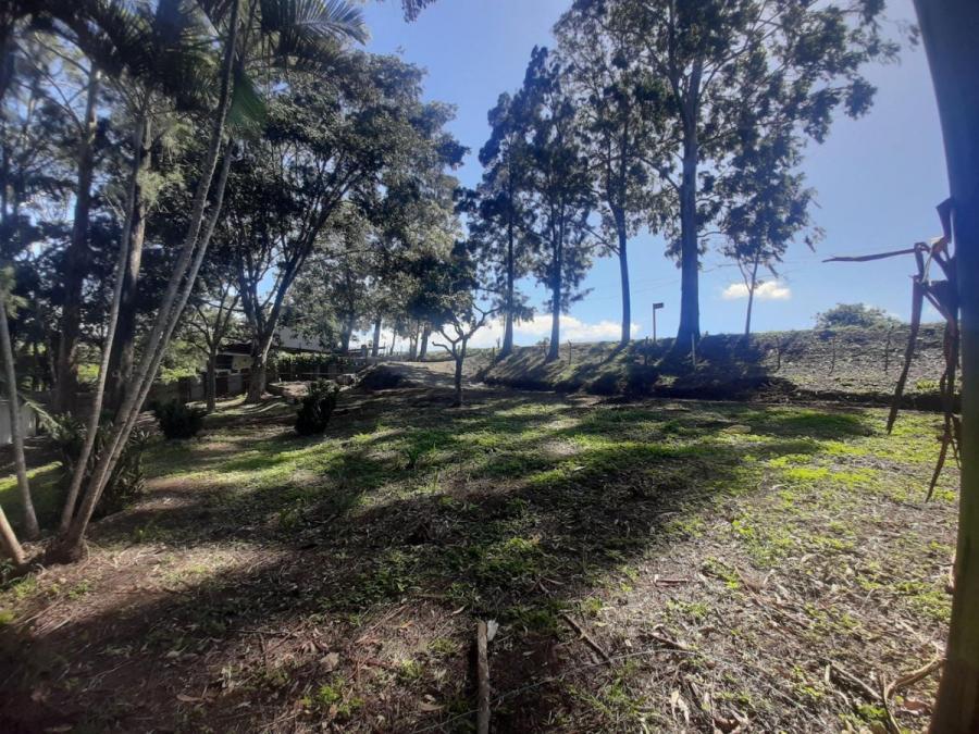 Venta de lote uso mixto 3400 m2 en San miguel Santo Domingo Heredia MGA