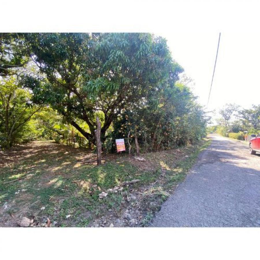 Foto Terreno en Venta en Turrubares, San José - ¢ 60.000.000 - TEV104717 - BienesOnLine