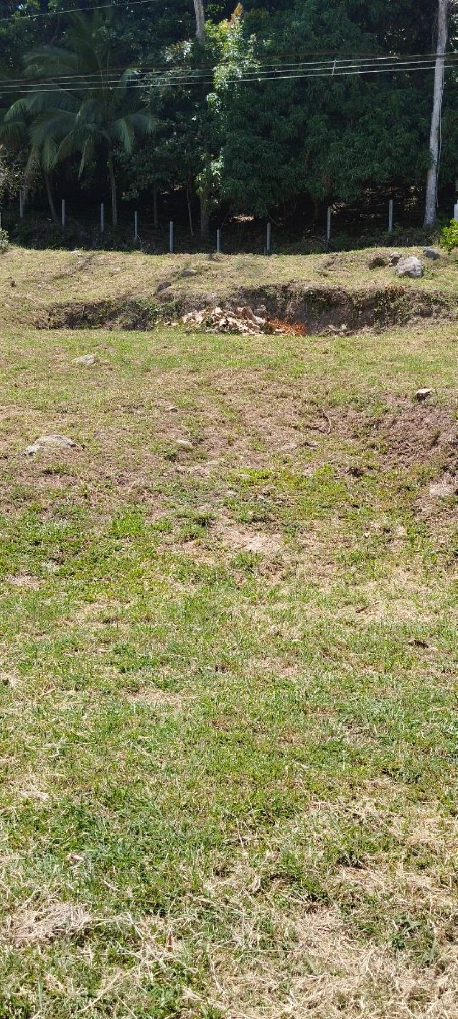 Foto Terreno en Venta en San Miguelito de Barranca, Puntarenas - ¢ 25.000.000 - TEV75605 - BienesOnLine