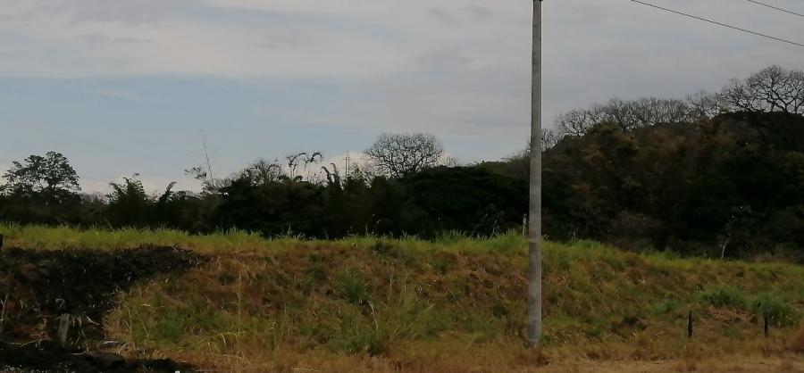 VENTA DE TERRENO INDUSTRIAL EN ALAJUELA